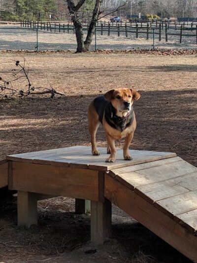 Johnson Memorial Park - Jackson Township, NJ