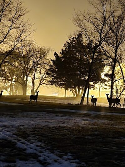 Johnson Memorial Park - Jackson Township, NJ