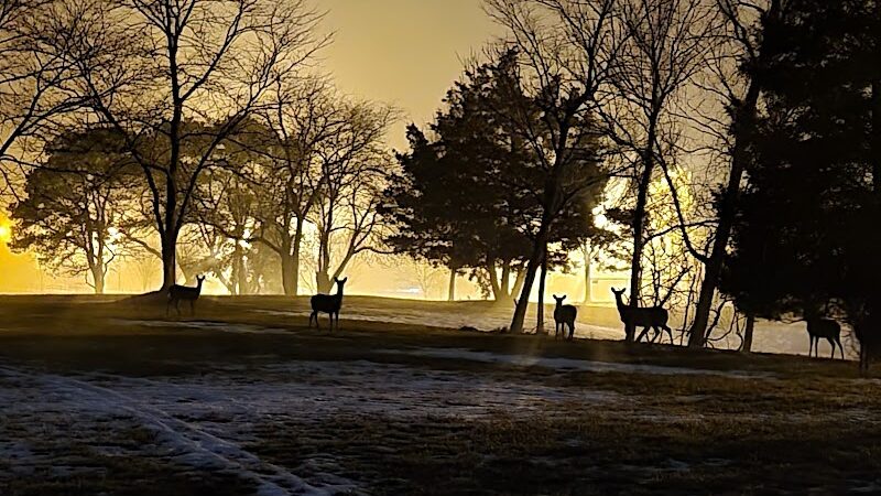 Johnson Memorial Park - Jackson Township, NJ