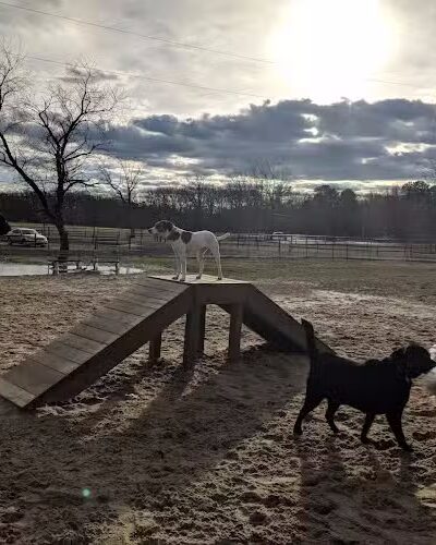 Johnson Memorial Park - Jackson Township, NJ