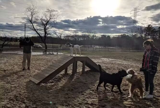 Johnson Memorial Park - Jackson Township, NJ
