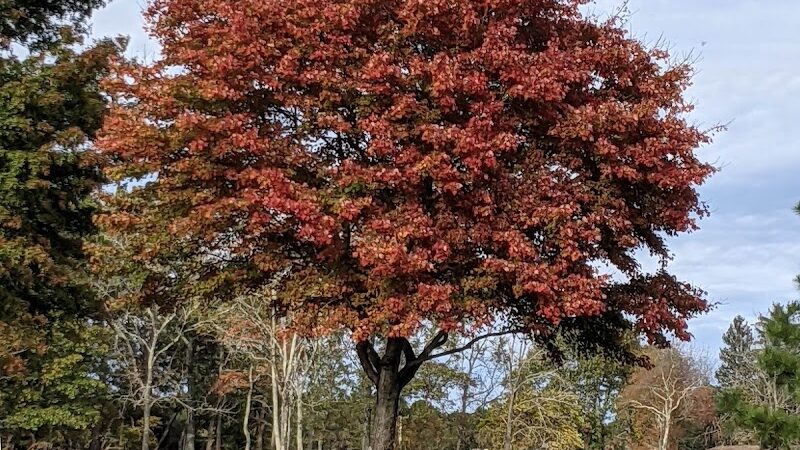 Patriots County Park & Sports Field Complex - Jackson Township, NJ