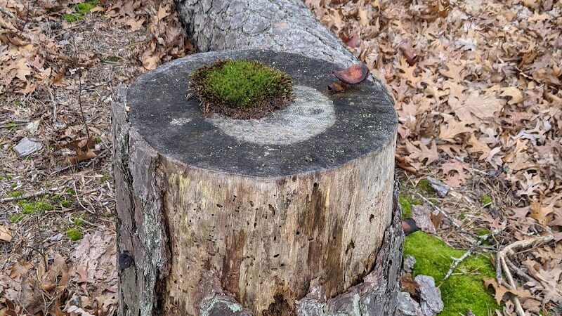 Patriots County Park & Sports Field Complex - Jackson Township, NJ