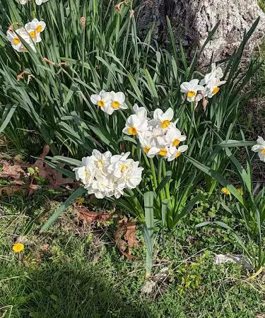 Patriots County Park & Sports Field Complex - Jackson Township, NJ
