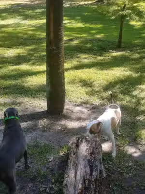 Boone Park - Jacksonville, FL