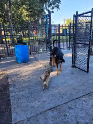 John Gorrie Dog Park of Riverside Park - Jacksonville, FL