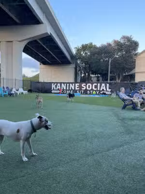 Kanine Social - Jacksonville, FL