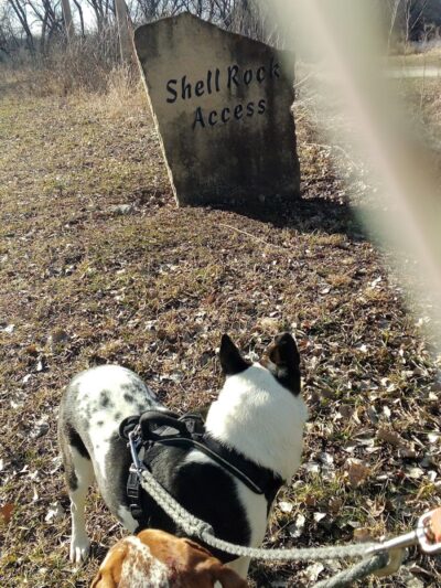 Shell Rock Access Area - Janesville, IA