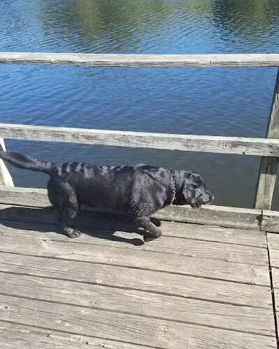 Shakamak State Park - Jasonville, IN