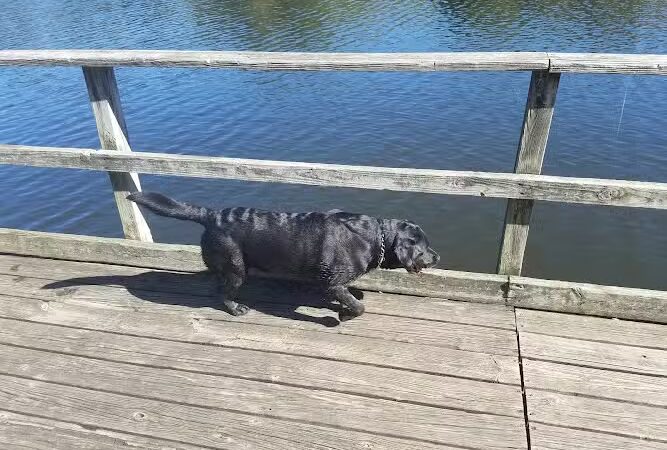 Shakamak State Park - Jasonville, IN