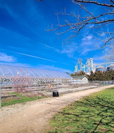 Jefferson City Large Dog Park - Jefferson City, MO