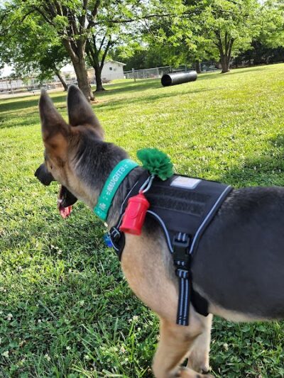 Jefferson City Large Dog Park - Jefferson City, MO