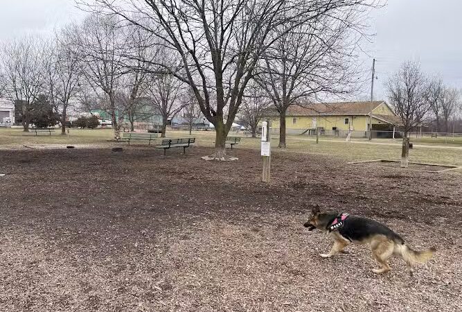 Jefferson City Large Dog Park - Jefferson City, MO