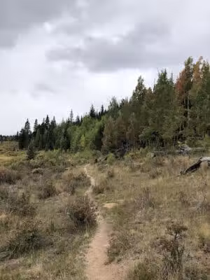 Long Gulch Trailhead - Jefferson, CO