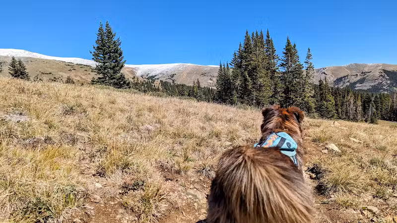 West Jefferson Trailhead - Jefferson, CO