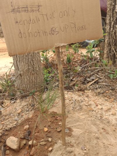 Jefferson Recreation Park - Jefferson, SC