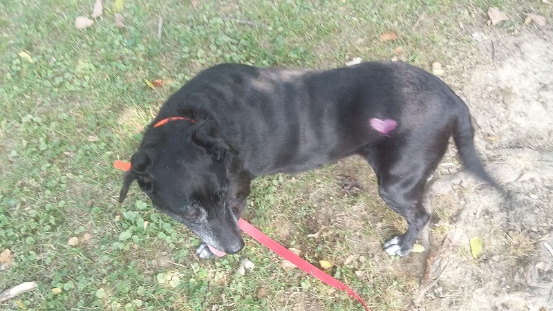 Highland Dog Park (Members Only) - Jeffersonville, IN