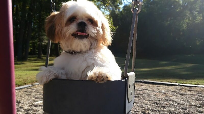 Highland Dog Park (Members Only) - Jeffersonville, IN