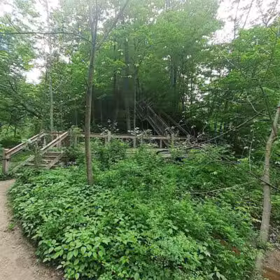Grand Ravines Dog Park - Jenison, MI