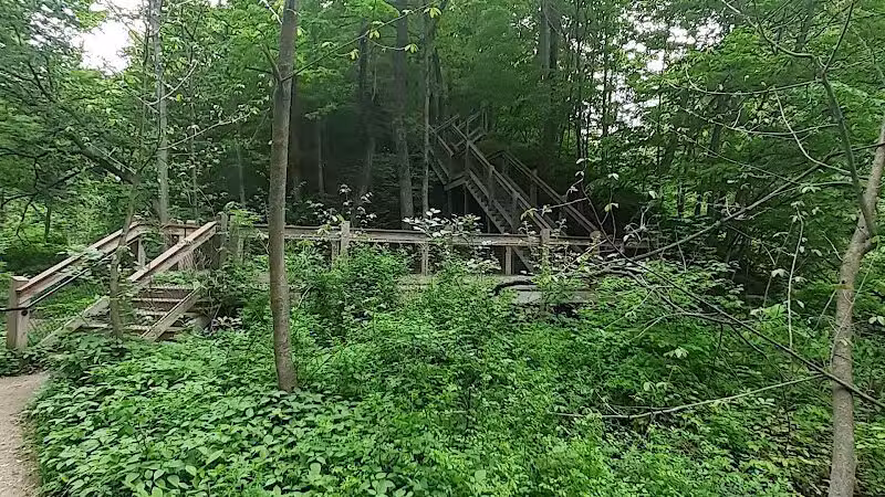 Grand Ravines Dog Park - Jenison, MI