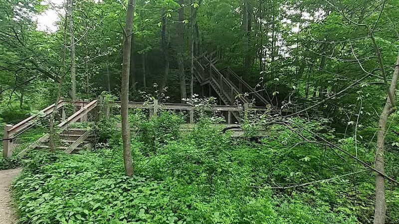 Grand Ravines Dog Park - Jenison, MI