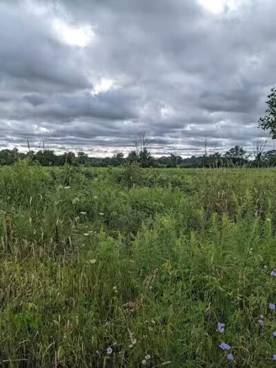 Grand Ravines Dog Park - Jenison, MI