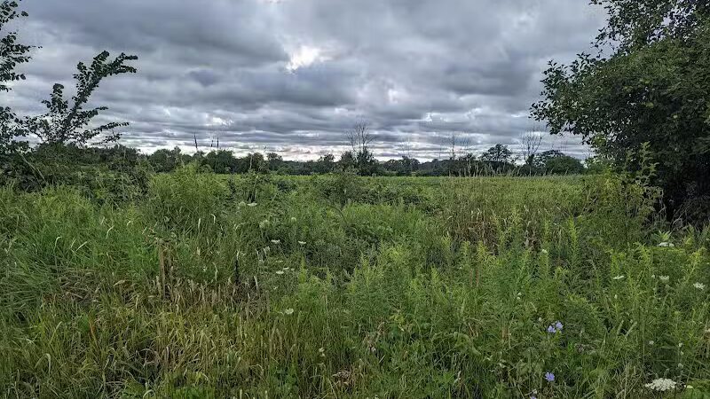 Grand Ravines Dog Park - Jenison, MI