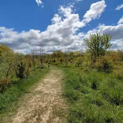 Grand Ravines Dog Park - Jenison, MI