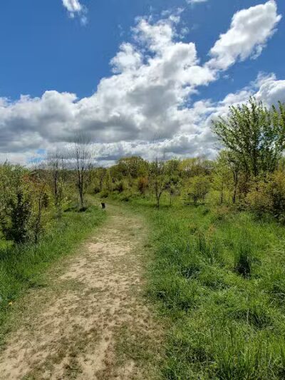 Grand Ravines Dog Park - Jenison, MI
