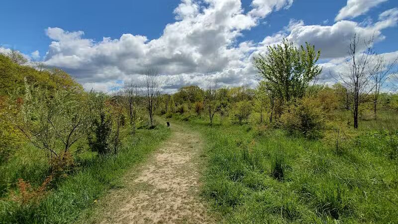 Grand Ravines Dog Park - Jenison, MI
