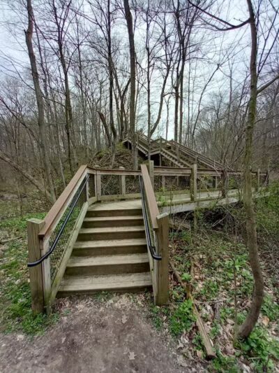 Grand Ravines Dog Park - Jenison, MI