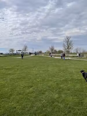 Grand Ravines Dog Park - Jenison, MI