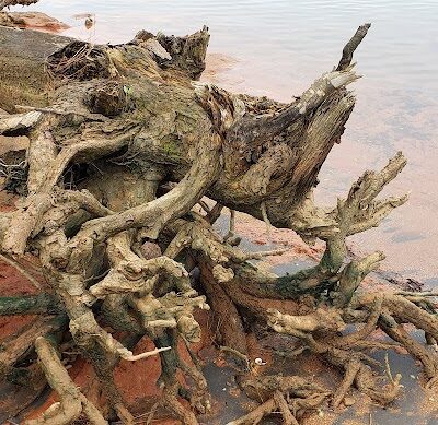 Lake Monticello Park - Jenkinsville, SC