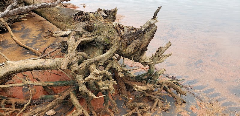 Lake Monticello Park - Jenkinsville, SC