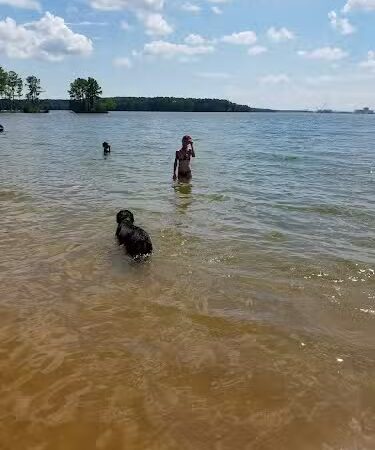 Lake Monticello Park - Jenkinsville, SC