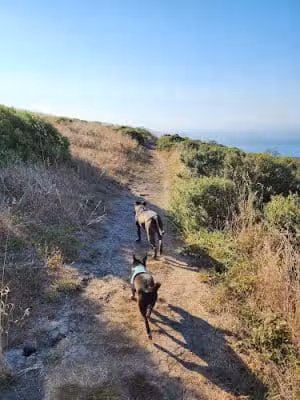 Jenner Headlands Preserve - Jenner, CA