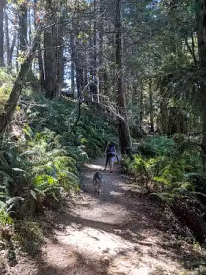 Stillwater Cove Regional Park - Jenner, CA