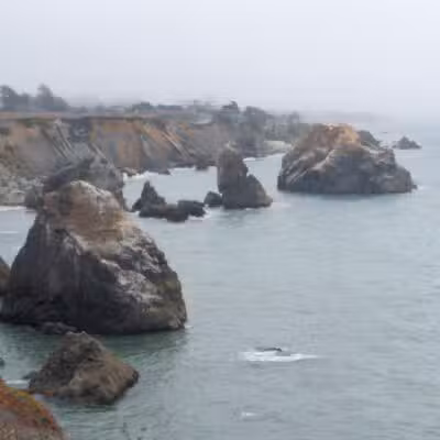 Goat Rock State Beach - Sonoma Coast State Park - Jenner, CA