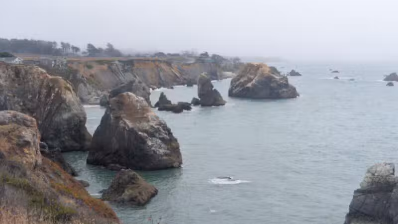 Goat Rock State Beach - Sonoma Coast State Park - Jenner, CA