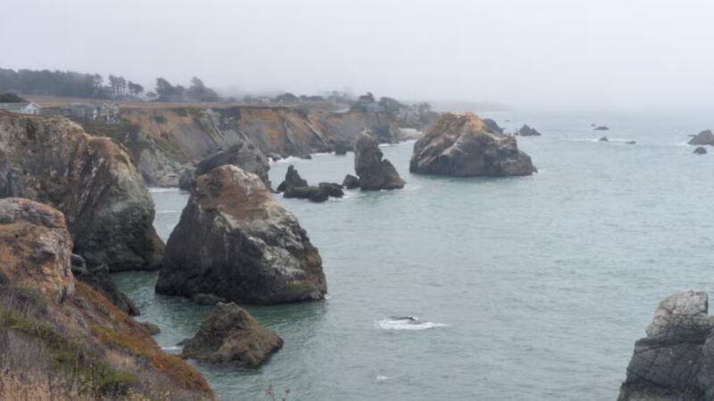 Goat Rock State Beach - Sonoma Coast State Park - Jenner, CA
