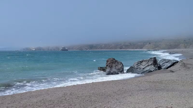 Goat Rock State Beach - Sonoma Coast State Park - Jenner, CA
