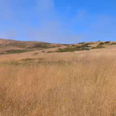 Jenner Headlands Preserve - Jenner, CA