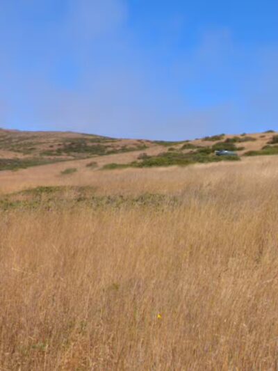 Jenner Headlands Preserve - Jenner, CA