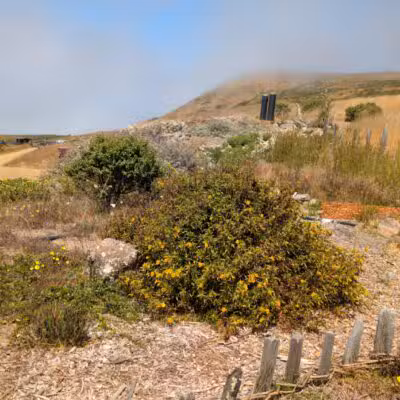 Jenner Headlands Preserve - Jenner, CA