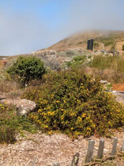 Jenner Headlands Preserve - Jenner, CA