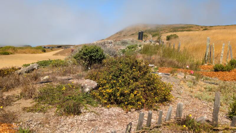 Jenner Headlands Preserve - Jenner, CA