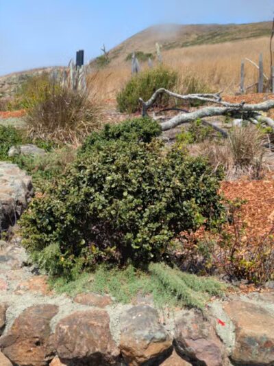 Jenner Headlands Preserve - Jenner, CA