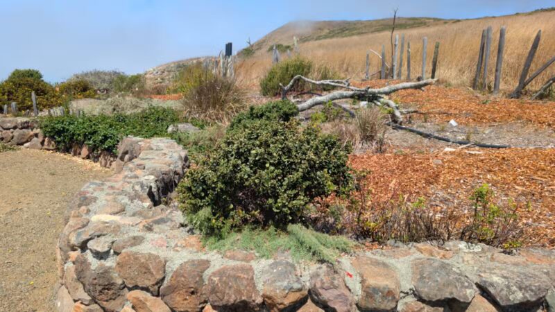 Jenner Headlands Preserve - Jenner, CA