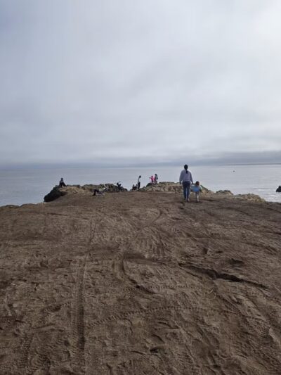 Ocean Cove Campground - Jenner, CA
