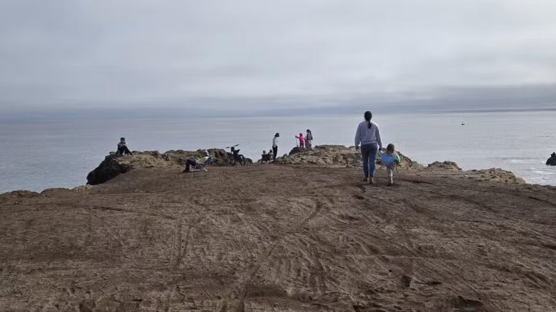 Ocean Cove Campground - Jenner, CA